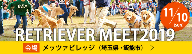 RETRIEVER MEET 2019