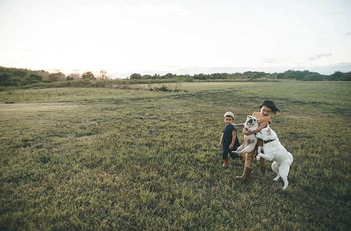 子供と犬との関わりを写した一枚。シンプルに関わり合う犬と人とのふれあいは、見ていて飽きないそう