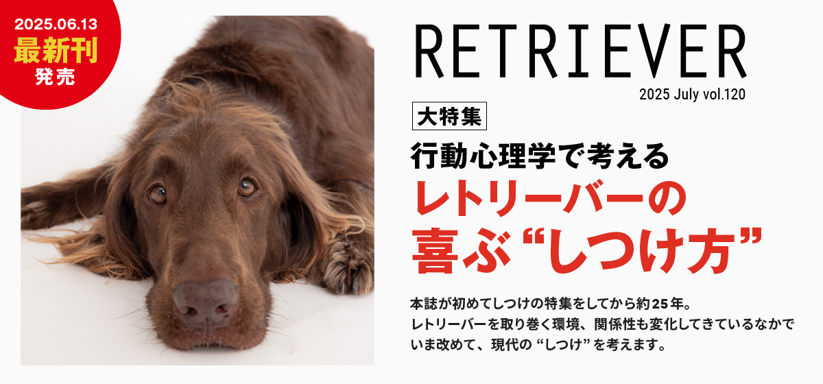 行動心理学で考えるレトリーバーの喜ぶ“しつけ方”