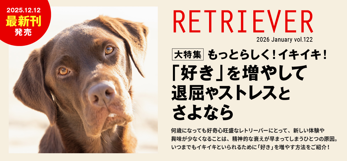 もっとらしく！イキイキ！「好き」を増やして退屈やストレスとさよなら