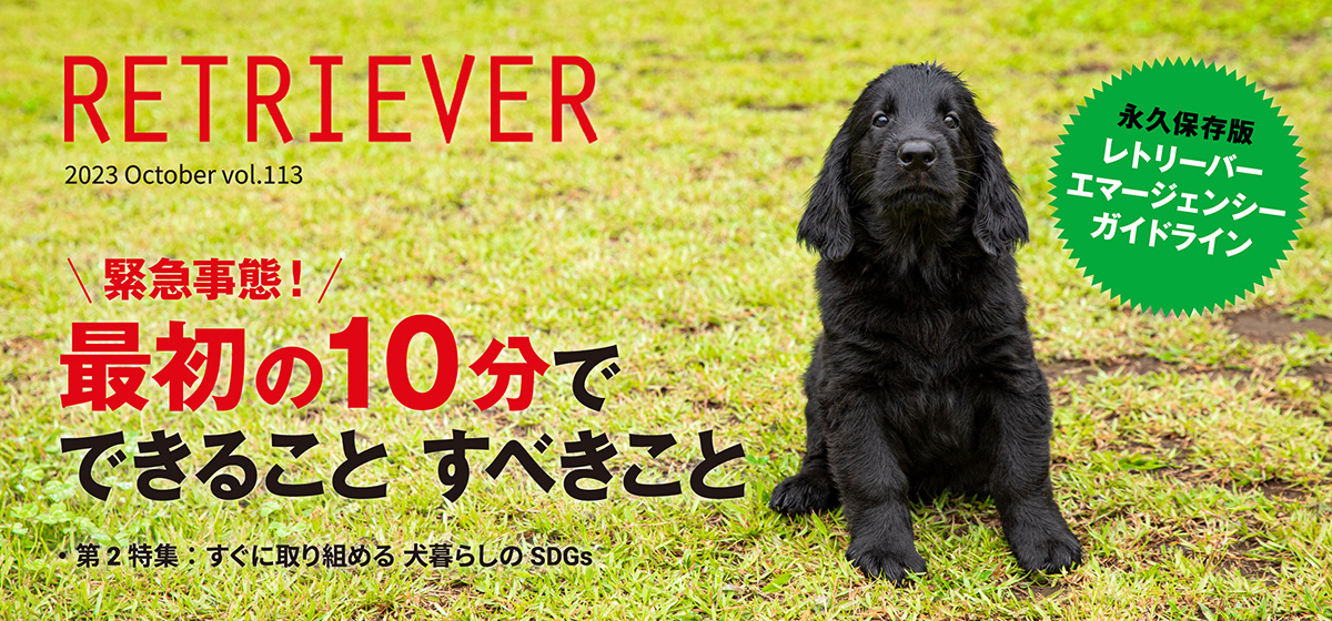 最初の10分で できること すべきこと