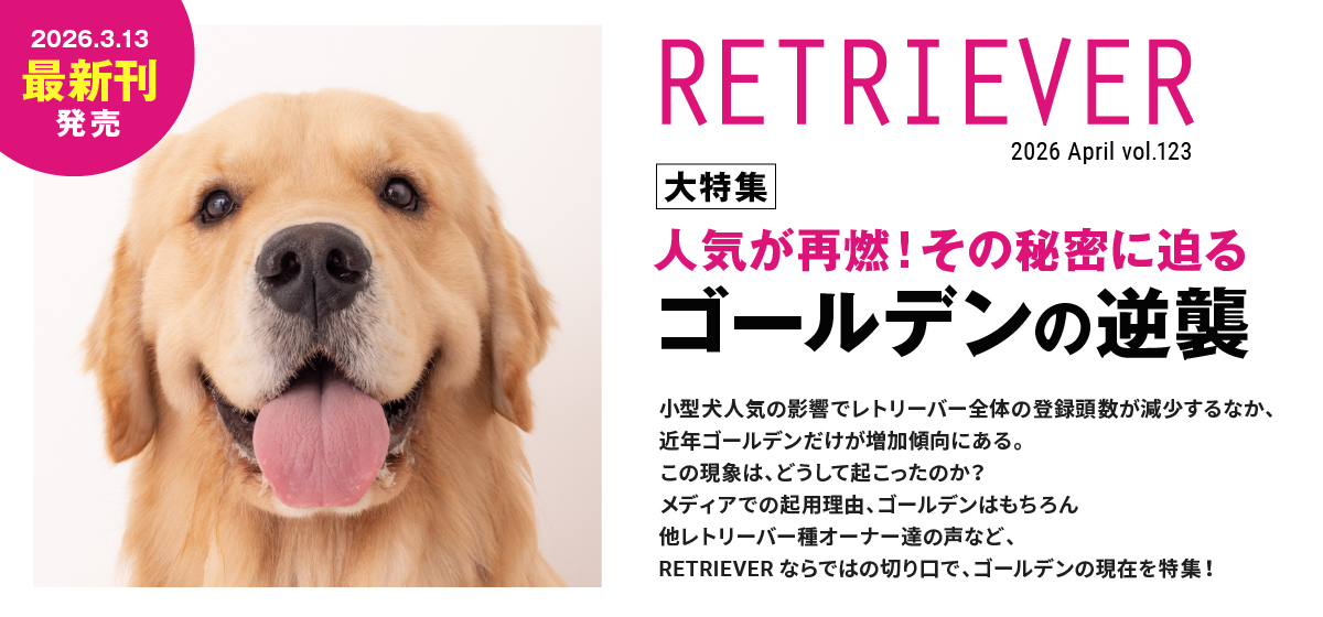 人気が再燃！その秘密に迫るゴールデンの逆襲